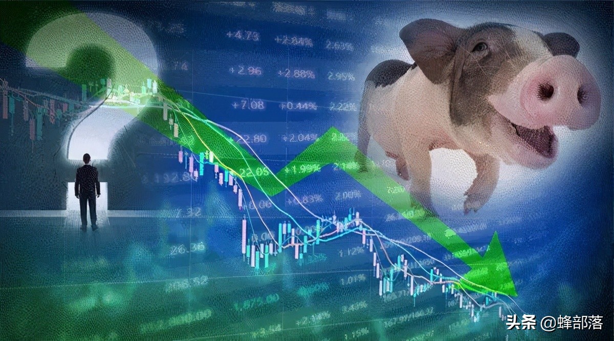 猪价8元观望，热钱进入猪市，猪肉价格上涨？控制好自己的菜篮子