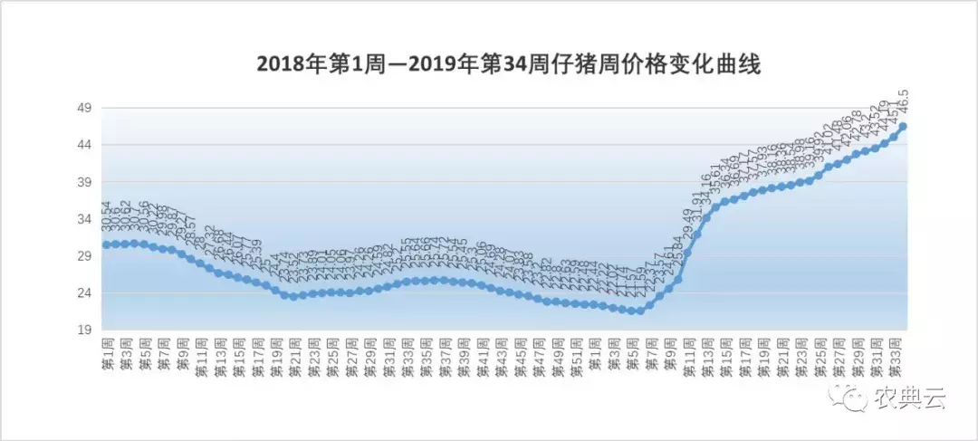 北京肋排88元/公斤！在猪价大涨原料稳定支撑下每头猪盈利1400元