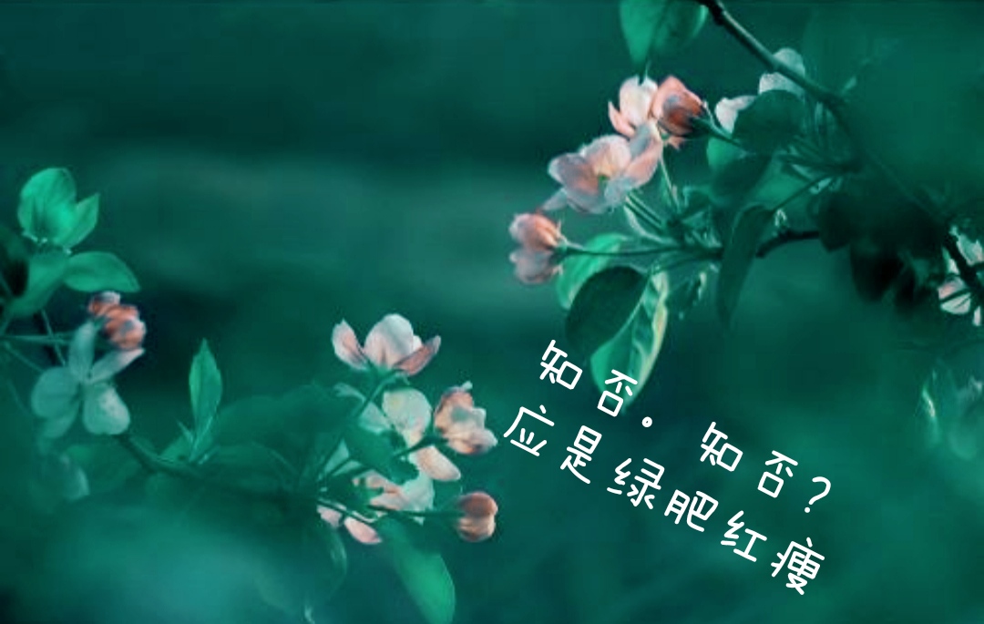 那些古诗词里的大红大绿，过了千年，依旧惊艳如同初见