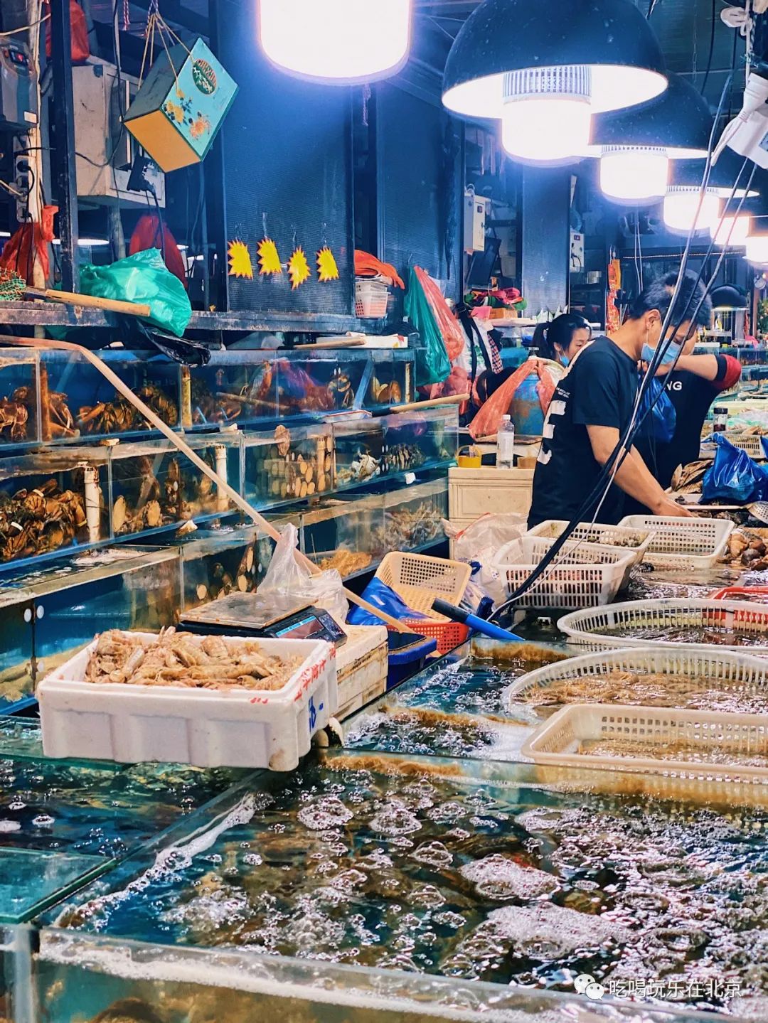 王四营海鲜市场今日价格「王四营海鲜市场营业时间」