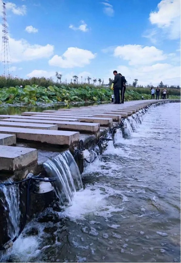 邯郸市永年区洺湖公园图片