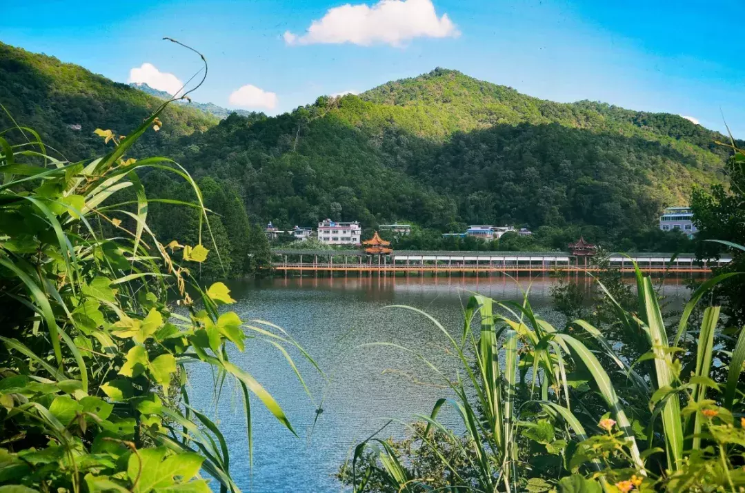 8分绕水库走走停停就够你玩一天光是泮坑旅游风景区但