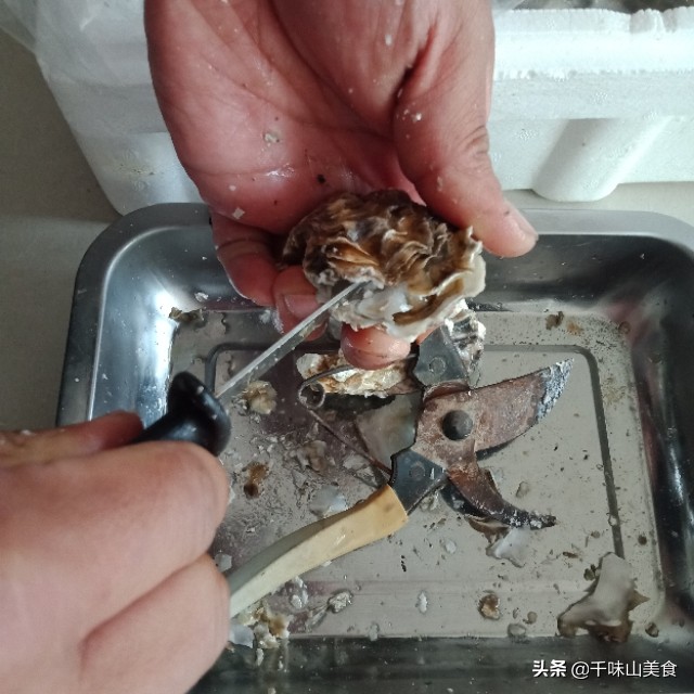 生蚝3秒打开的方法，工具很重要，蒜蓉蒸生蚝，这样做才过瘾