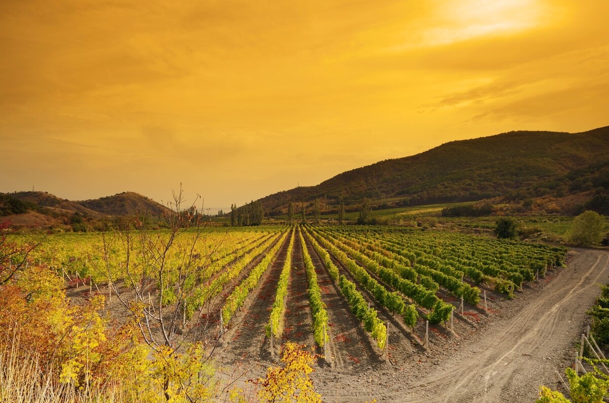 2020山东高考听力真题（40）