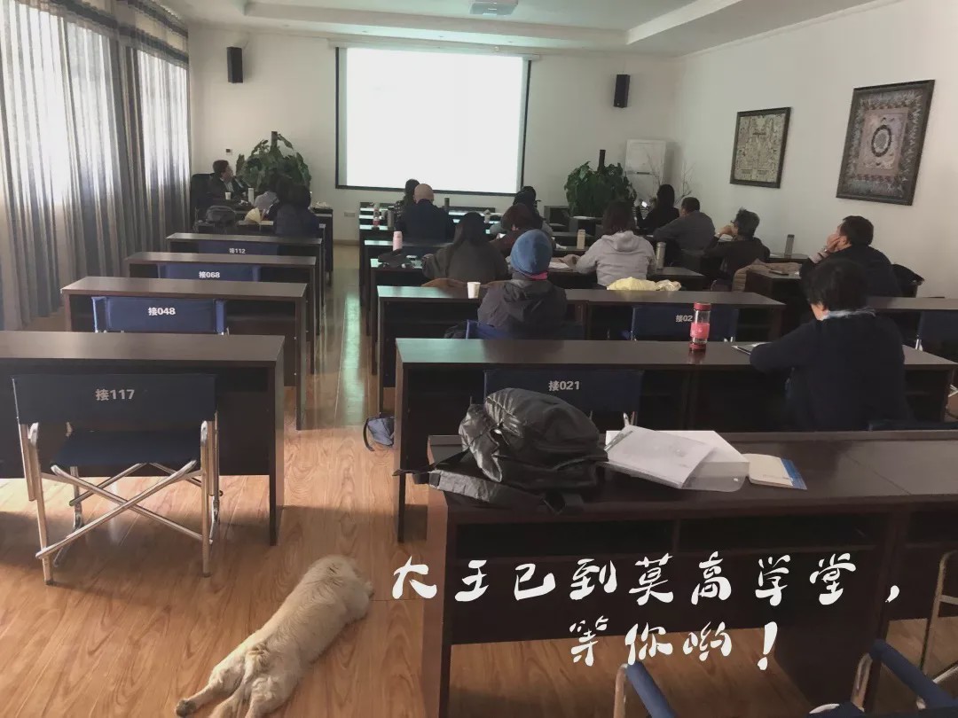 莫高学堂·乐乐茶咖馥园｜流淌在千年莫高的氤氲咖啡香