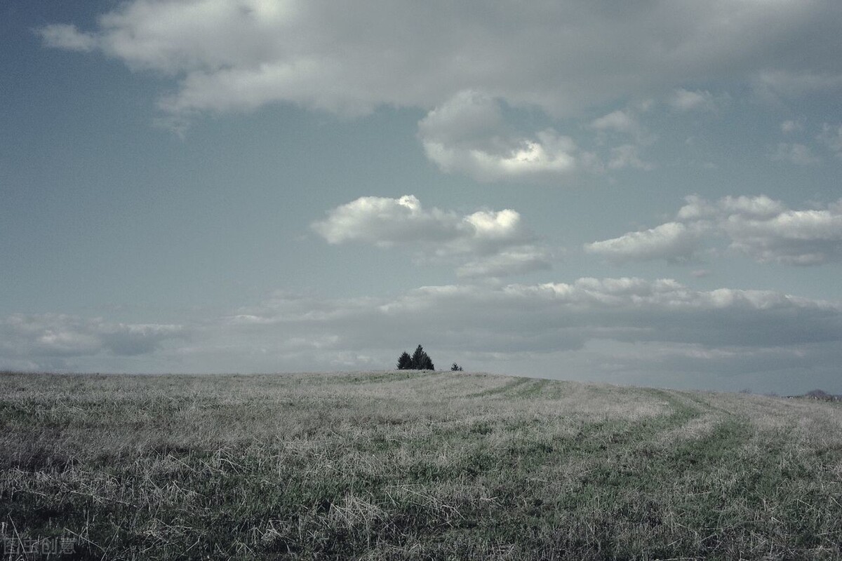 基于学生思维能力培养的课例研究——以初中英语故事阅读教学为例