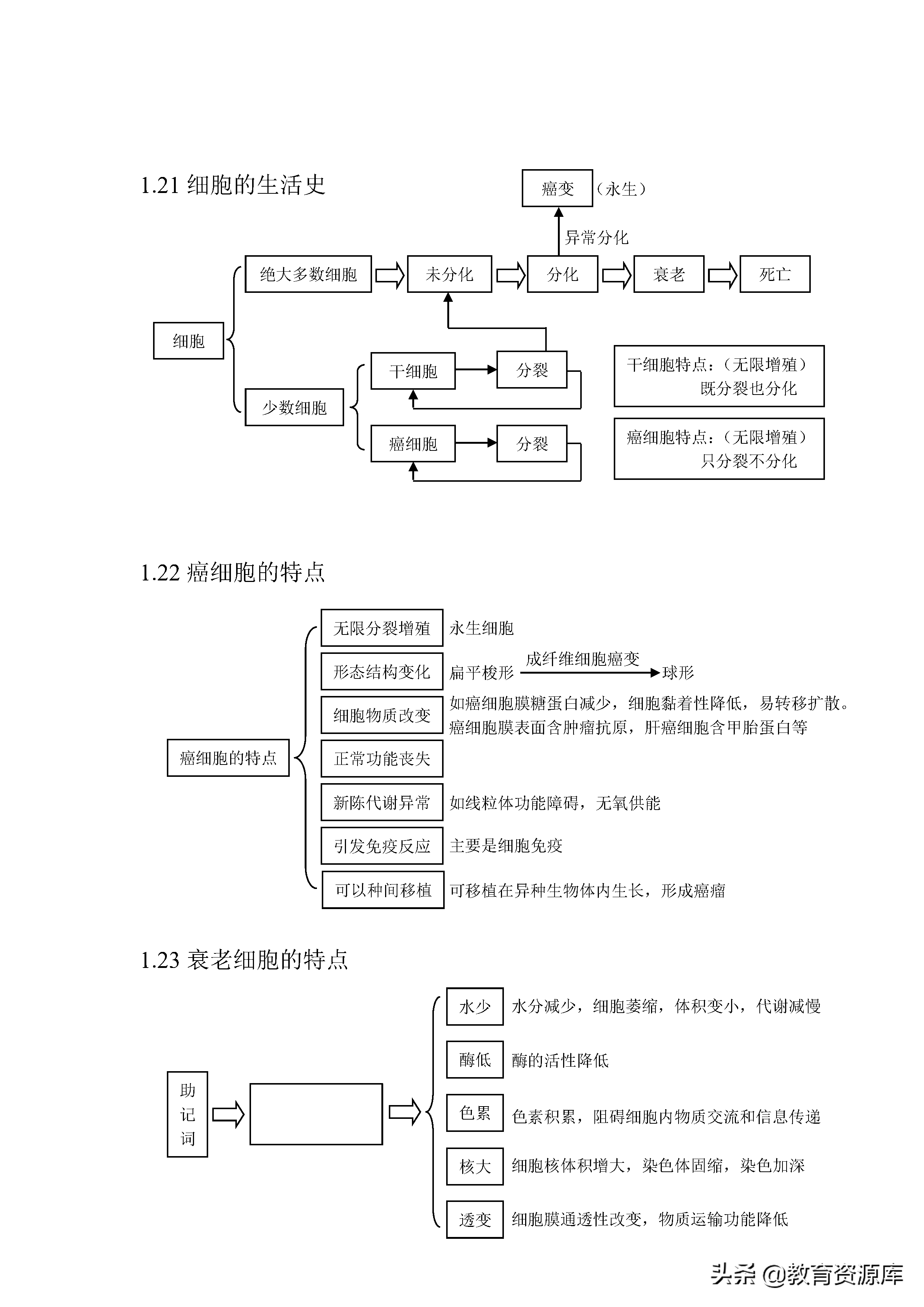 高中生物：高考生物必考知识点总结