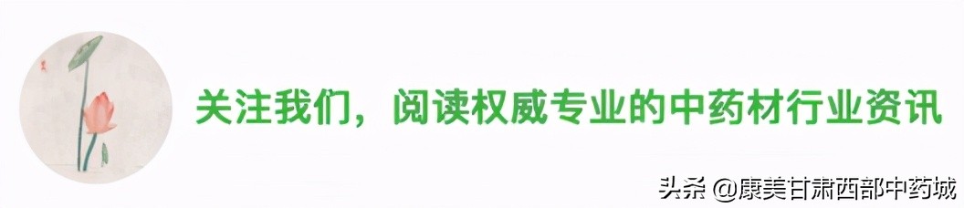 「產地快訊」關防風、淫羊藿、款冬花、牛蒡子、黨參、當歸、黃芪