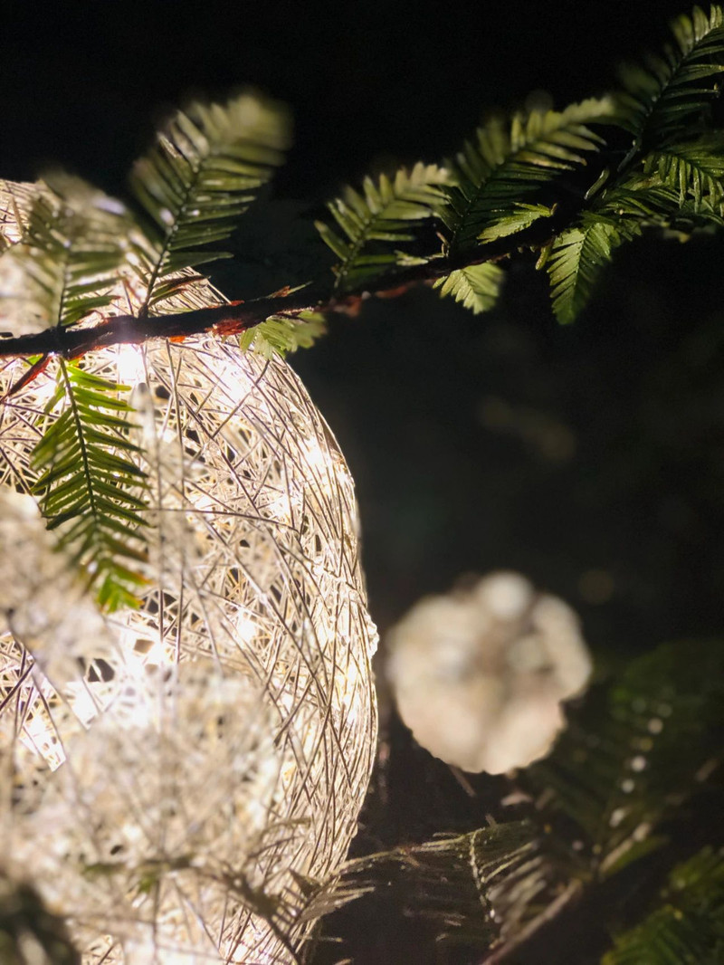 避暑计划：海子山避暑十二时辰