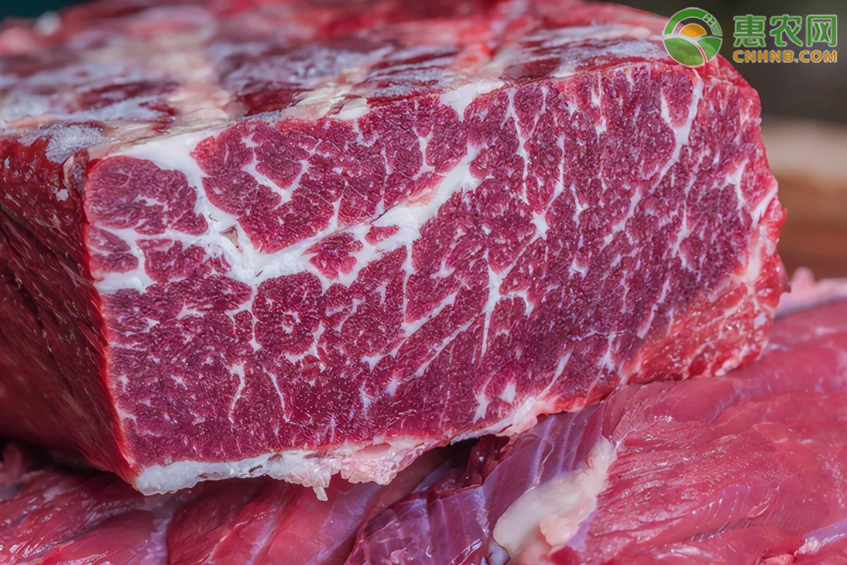 今日牛肉价格多少钱一斤？牛肉价格还会持续上涨吗？