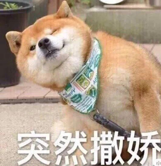 零基础怎么学习中级会计