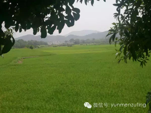 广东云门大觉禅寺 云门宗开宗道场 超然世外 农禅一味