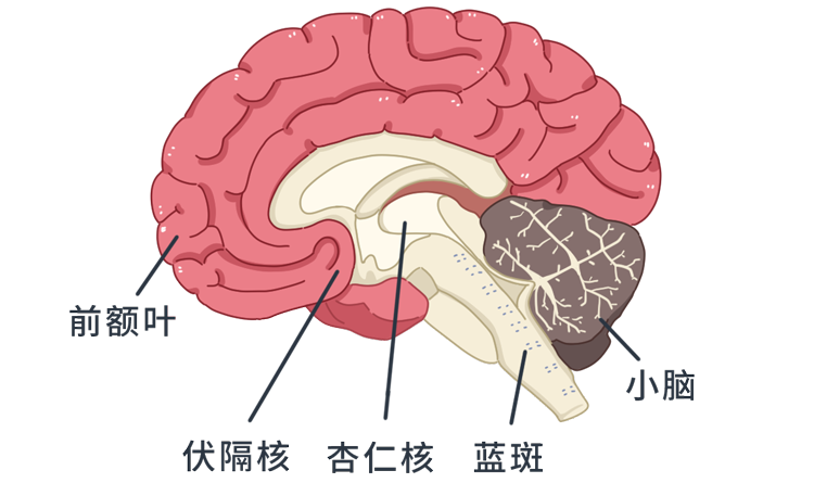 如何提高专注力（2个技巧培养专注力的方法）