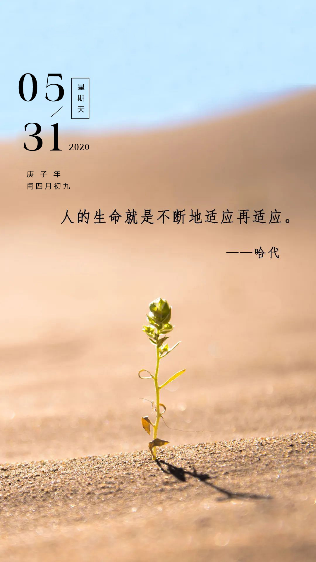 5月31日五月最后一天早安图片日签励志正能量带字说说语录