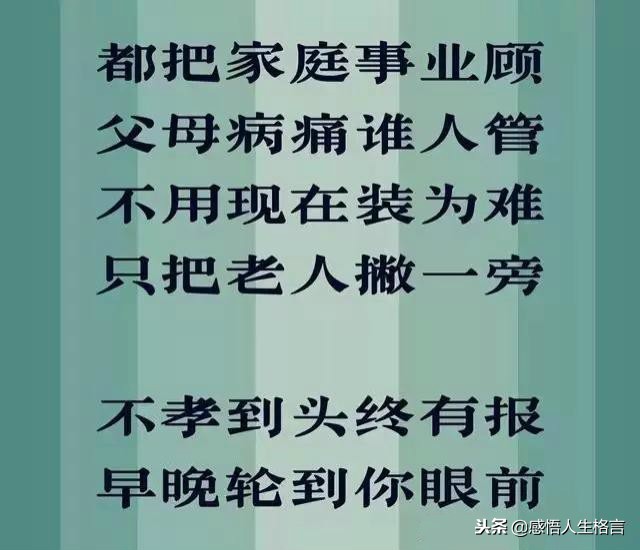 不孝到头终有报，劝君莫把老人嫌