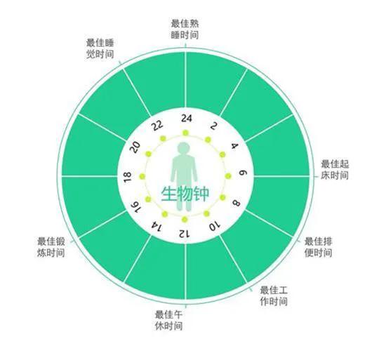 历史上悬梁刺股的人分别是谁？真的需要提倡这种行为吗？