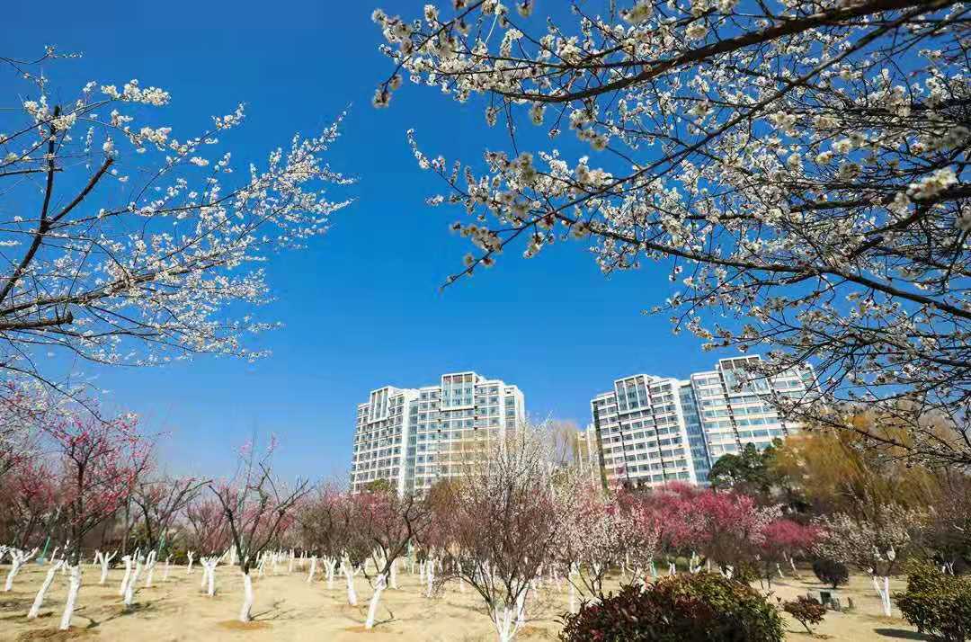 江苏多所高校换校长，身份都很特殊，意在冲击双一流？