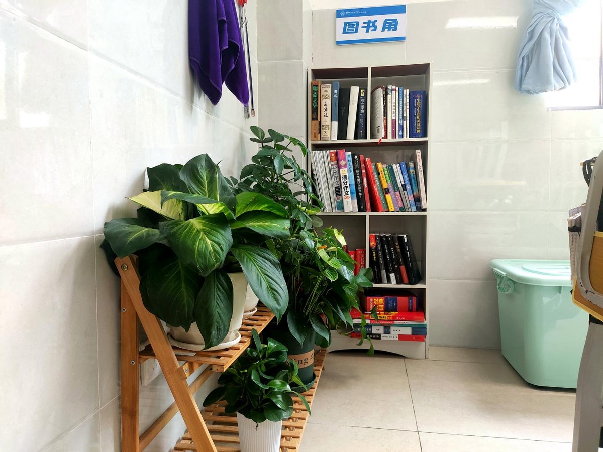 校园环境展示丨会说话的墙壁，会育人的角落