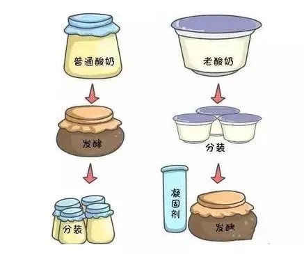 如何给孩子选酸奶？你不知道的酸奶冷知识全在这里了