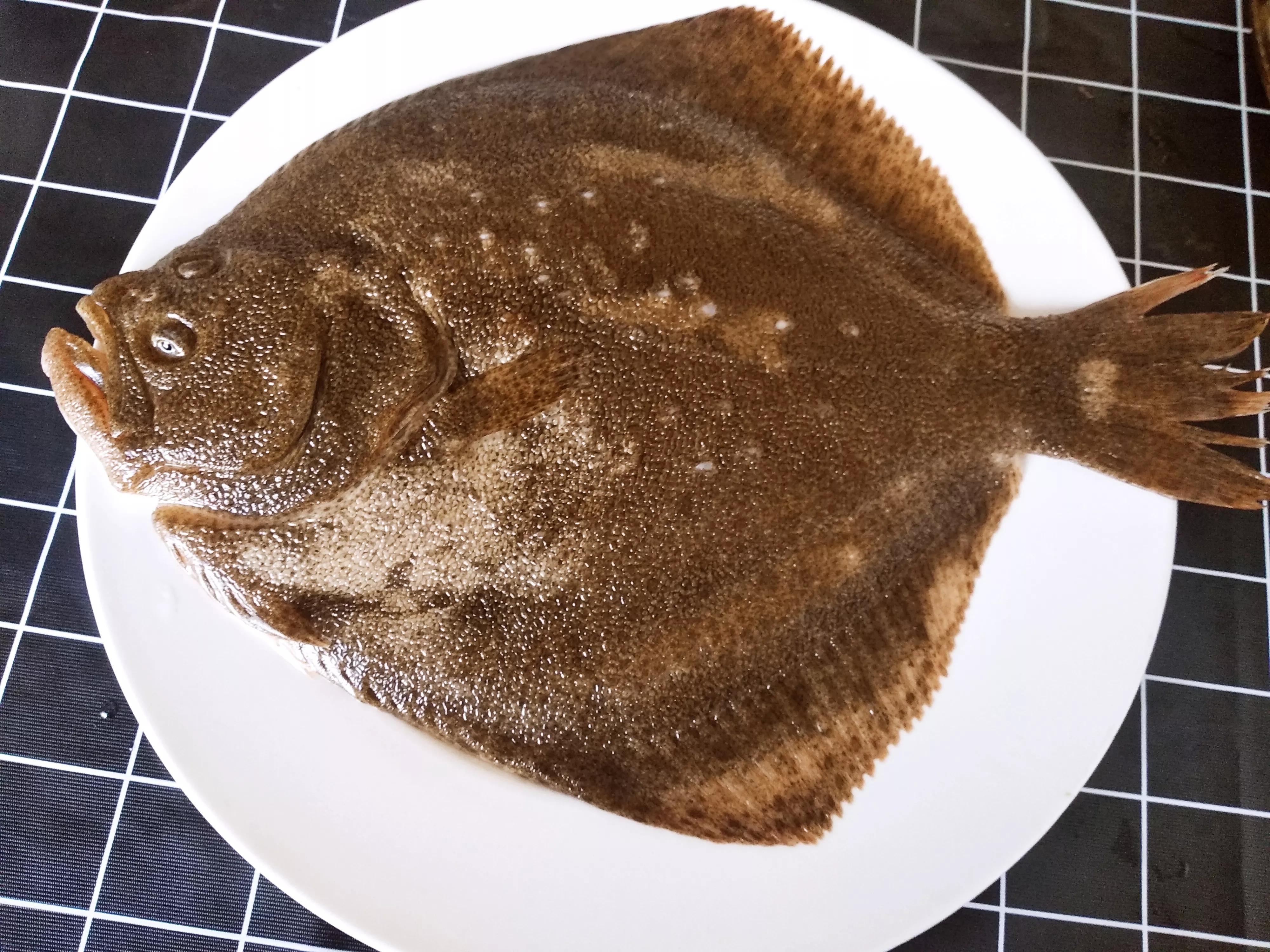 分辨鮣鱼有句俗语叫"左鲽右鮣",也就是鱼的两眼都在左边的就是鲽鱼;鱼