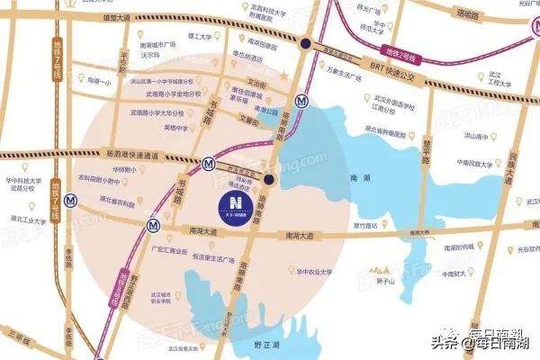 区土储中心到天下南湖湾项目还建房现场踏勘