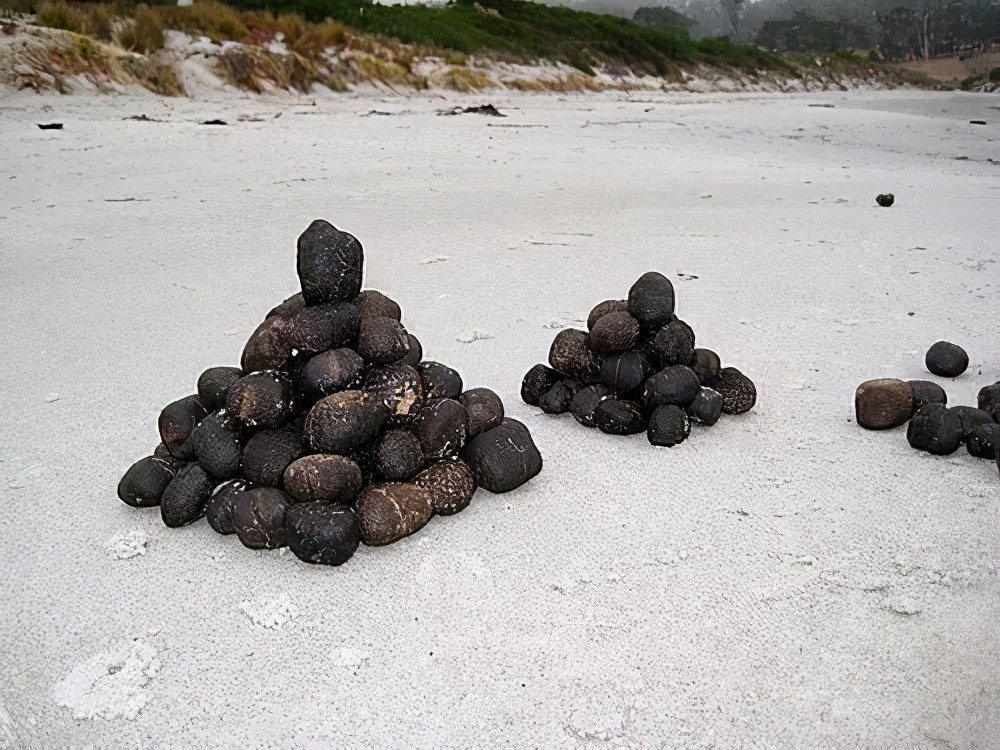 为啥要把便便搞成方形?