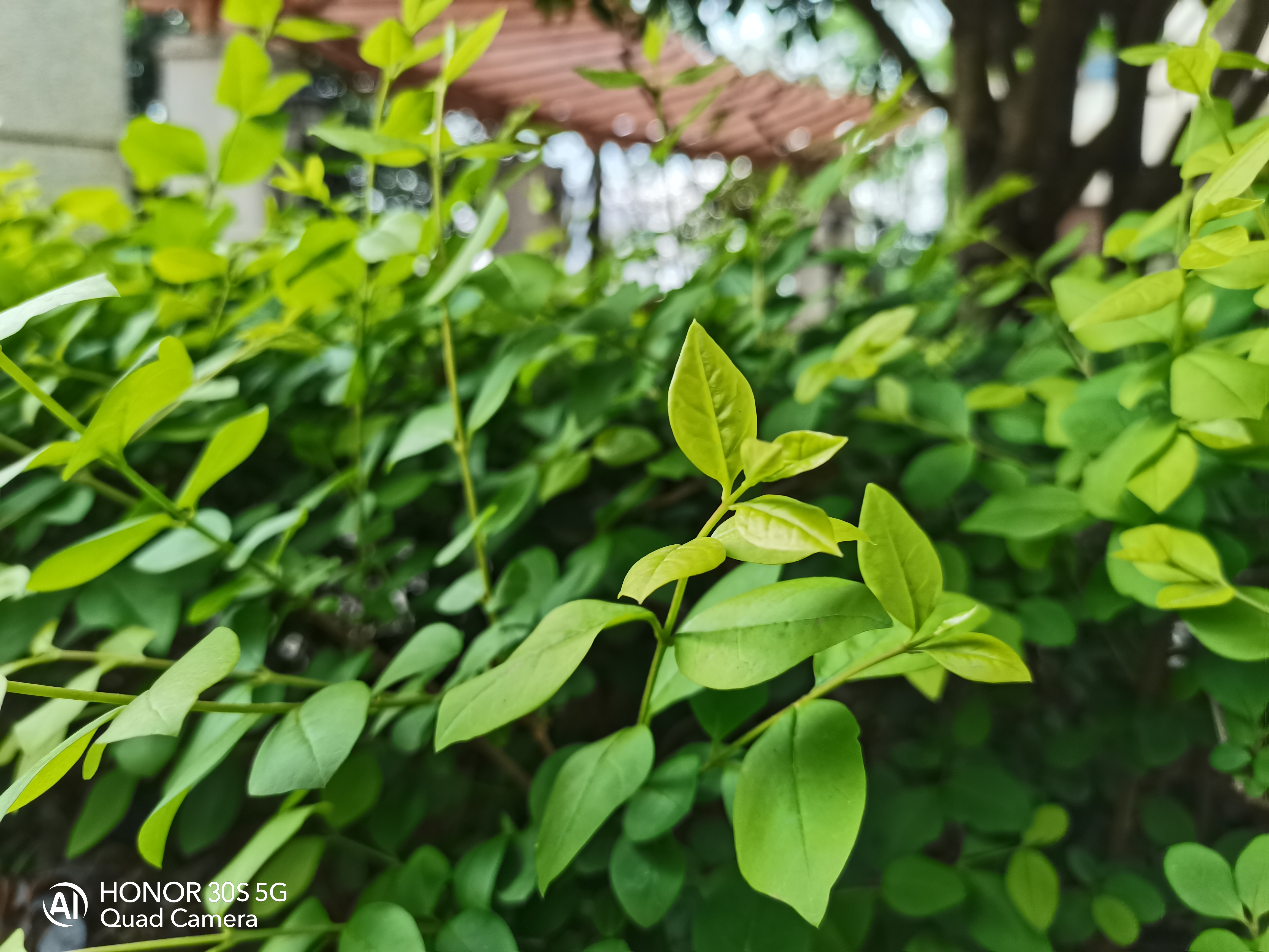 5G降维打击，荣耀30S评测：麒麟820加持到底有多猛？