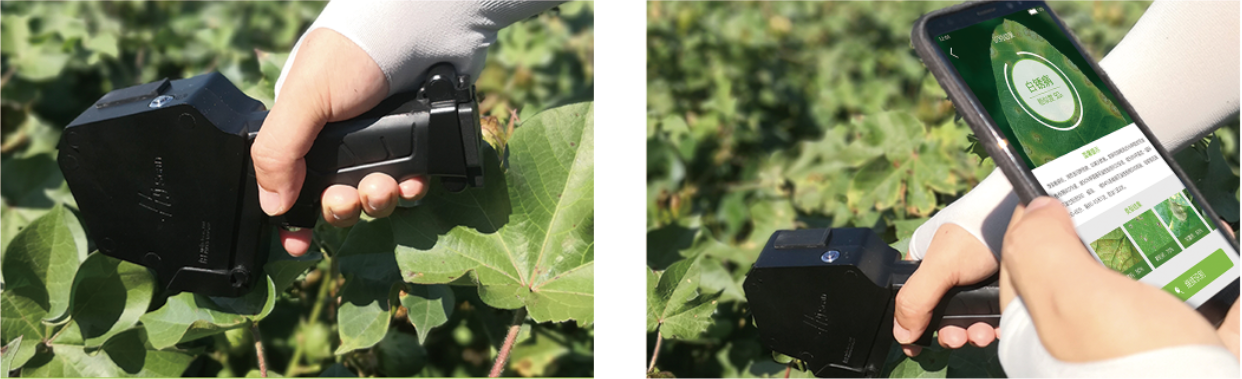 高光谱遥感估算——植被碳储量核心技术手段之一