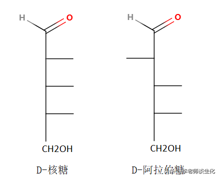 核糖（ribose）与脱氧核糖参与的生化过程