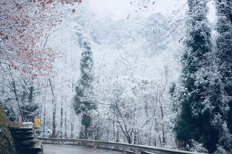 成都周边1小时｜藏在雪景里的半山美学茶室