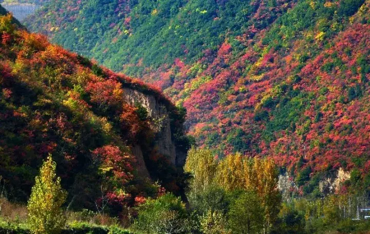 中国醉美秋色在秦岭,2条自驾路线解锁最绚烂秋景,10月最美
