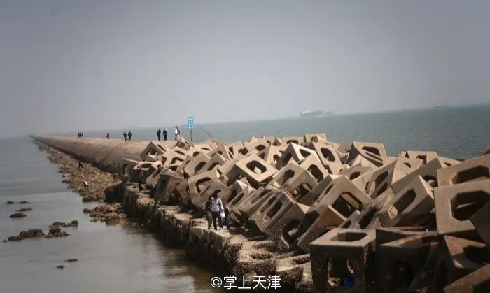 赶海拾贝挖蛤蜊，天津这些地儿你都去过吗？