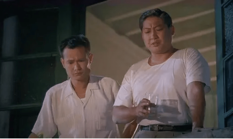 七小福成员(七小福成员个人资料)_友友