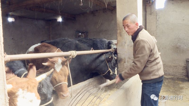 涇源：新民鄉(xiāng)禹偉宏，摘了窮帽奔“錢”程