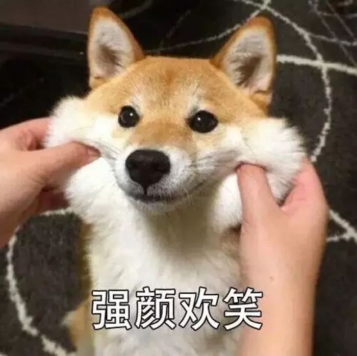 沙雕是什么意思 沙雕是骂人的嘛-大连号