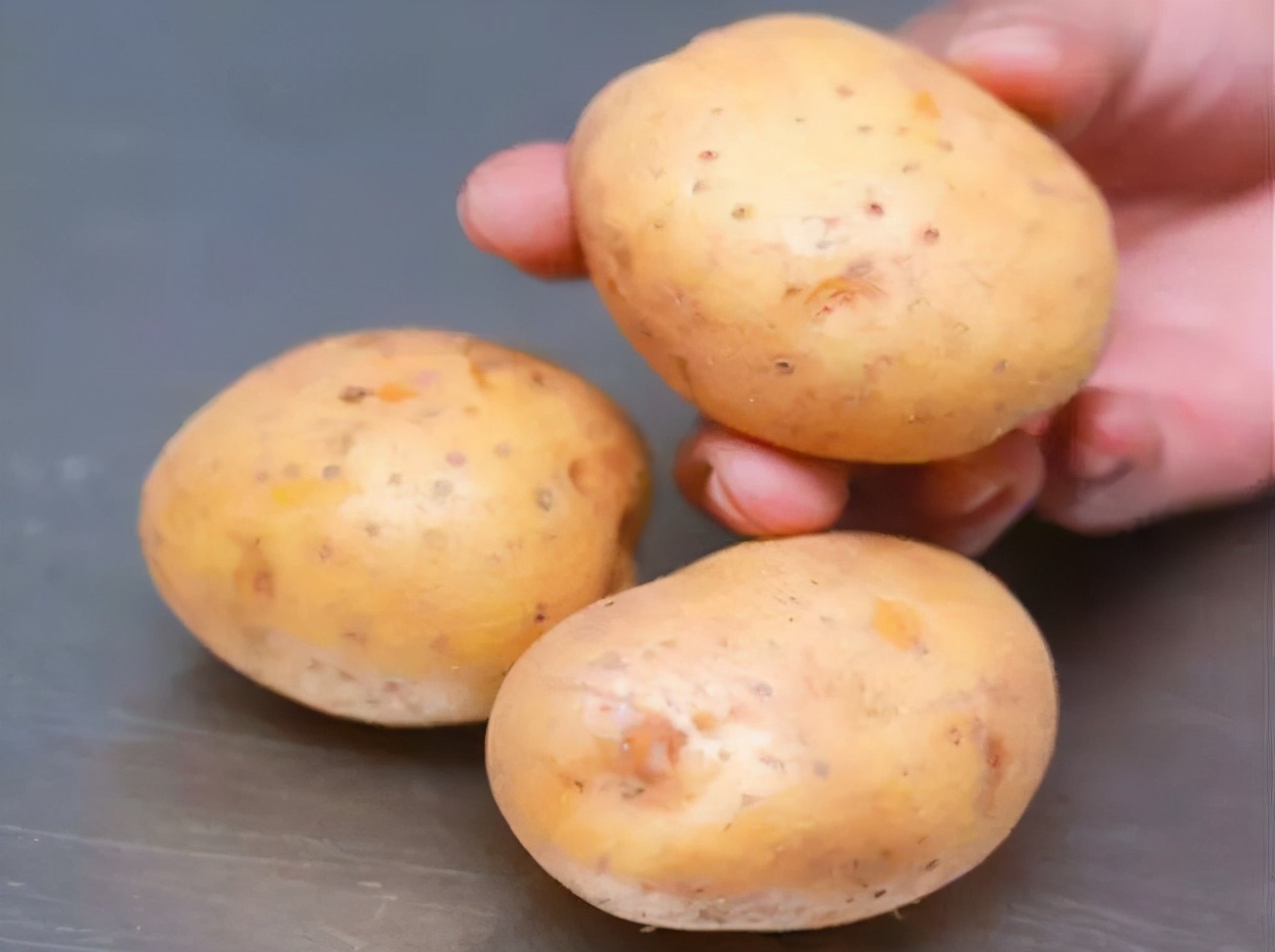 土豆如何保存（牢记3个好方法土豆不发芽不变质）