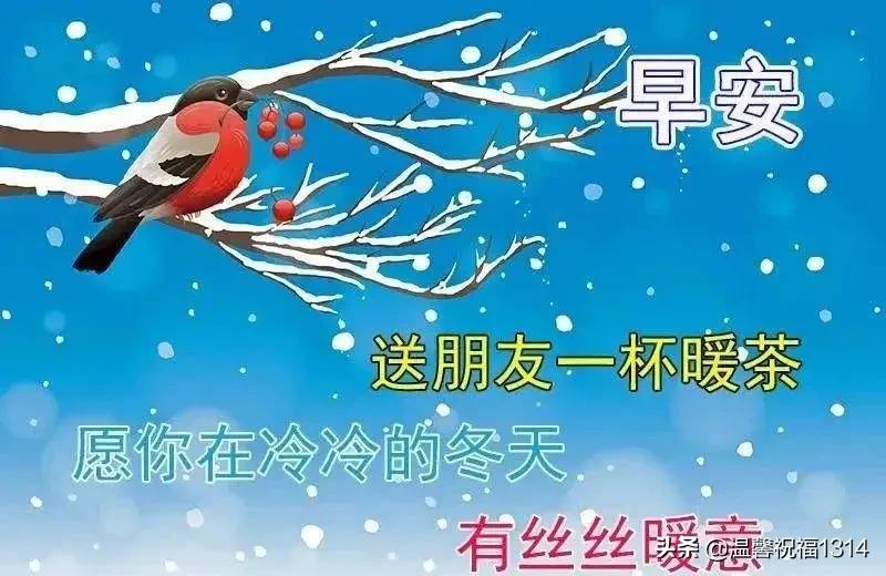 星期五清晨暖心问候祝福语句，最美的周五祝福文字图片精选