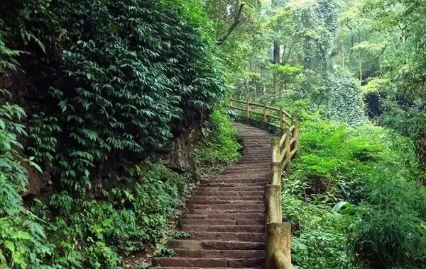 正式通知，峨眉山门票降价啦！现在去峨眉山，便宜50元/人