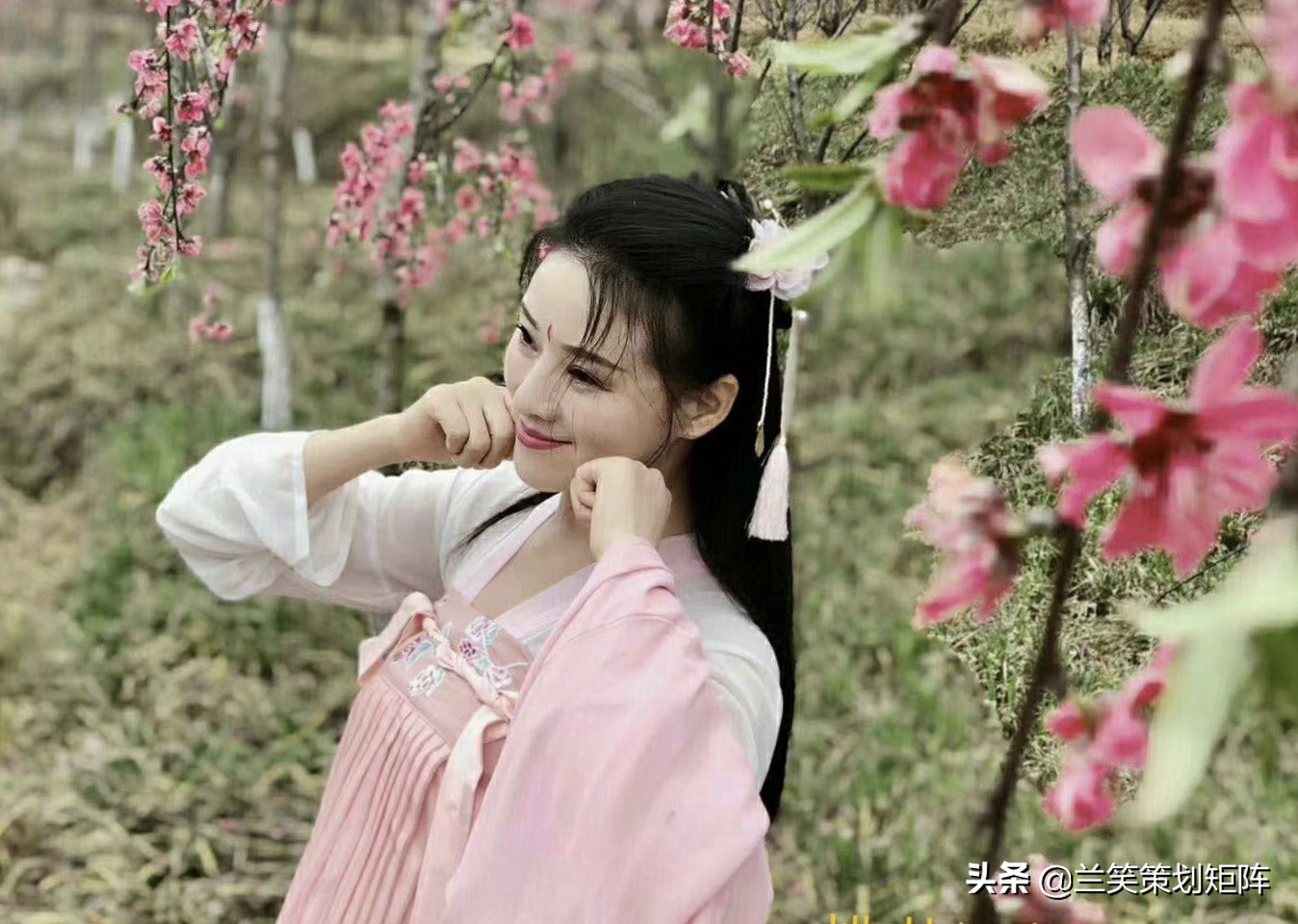 诗情桃花源 | 此生，只为你盛开这朵桃