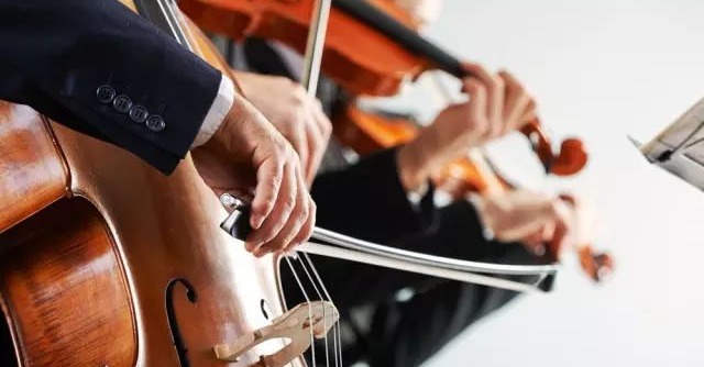 低音提琴和大提琴的区别，低音提琴和大提琴的区别有哪些？