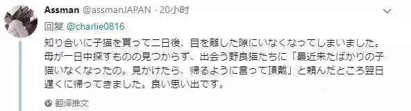 玄学找猫的“剪刀大法”“野猫帮忙法”你知道多少？