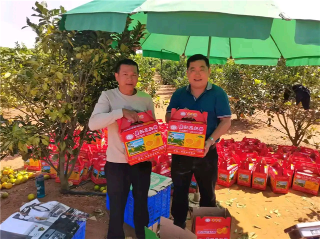 全红婵家橙子熟了！果子烂在地上，哥哥心疼想哭，网友想包场支持