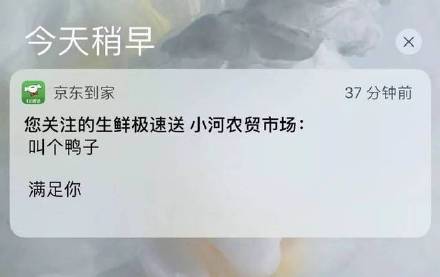 对不起 看了这些APP的奇葩推送 感觉都不能好好玩手机了