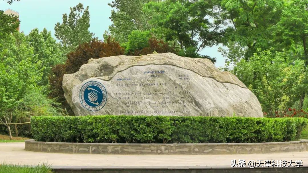 【毕业季】一枝一叶总关情，让我再次走近您（滨海校区）