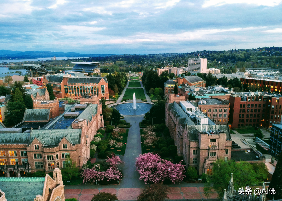 美国50所在大城市的最好大学