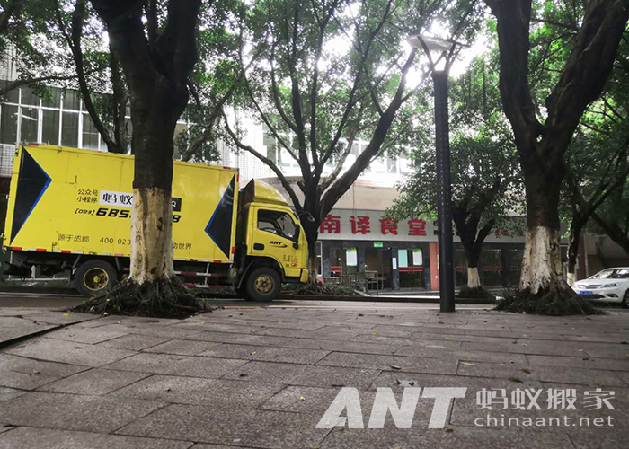 亲戚朋友搬家送啥礼物好（一般同事搬家送什么礼物）