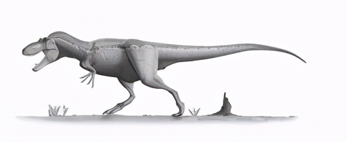 达斯布雷龙图片有趣的是,达斯布雷龙和蛇发女怪龙曾在同一时期生存于