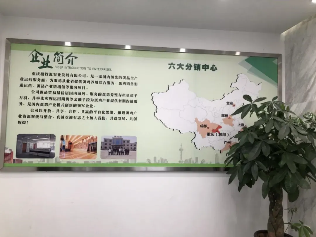 从卖鸡蛋到企业董事长，贵州小伙创业期间收获爱情，三年公司估值超2亿！