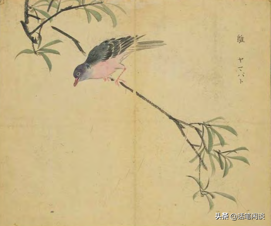 日本学者用心为《诗经》编了数百种图解，万物有灵，又美又细腻
