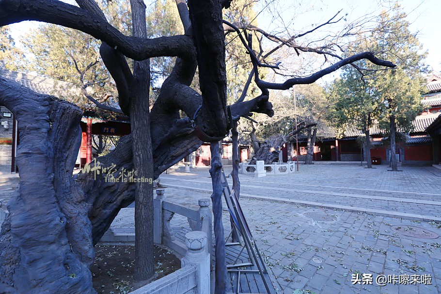 河北有座底蕴深厚的小城，离北京很近，高铁直达，适合冬季一日游